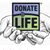Dottie Wild's profile image