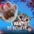 Jennifer Castellanos's profile image
