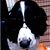 Bebe Gunn's profile image