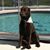 Carrie Davies Benson's profile image