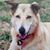Linda Kotowski's profile image