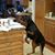 Barbara Duke Killough's profile image