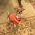 Pamela Sue's profile image