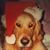 Jessica Hustead's profile image
