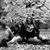 Nicole Furno's profile image