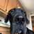June Clemons's profile image