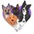 Lori Waters's profile image