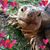 Daun Richert-Slagle's profile image