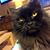 Amybeth Fichera's profile image