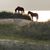 Deb Petcavage Rink's profile image