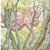 Dawn Woolley Bort's profile image