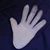 Lizzie Lindsey's profile image