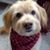 Judy Fisher's profile image