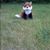 Kathy Schroeder's profile image