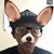 Yvette Beetley's profile image