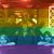 Deb Z. Gordon's profile image