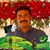 Safi Ullah Khan Niazi's profile image
