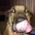Shannon Hammons's profile image
