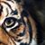 Dennis Greenhill's profile image