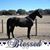Wendie Roeper's profile image