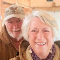 Patricia Schmauder's profile image
