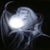 Rhonda Barron's profile image