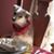 Johanna Marie Wilson's profile image