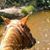 Robyn Robinson's profile image