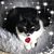 Karen Visone's profile image