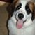 Ellie May McNeely's profile image