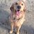 Yvette Z. Lansdowne's profile image