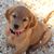 Ellee Neilands's profile image