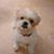 Dee Swisher Yousef's profile image