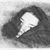 Barbara Montalbo's profile image