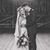 Cassandra Akery-Benefield's profile image
