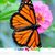 Mary Thompson Keilholz's profile image