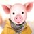 Gassius Carisbrooke's profile image