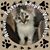 Jane Smith's profile image