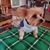 Pam Dingler's profile image