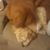 Tena Switzer's profile image