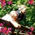 Sandy Rutherford's profile image
