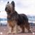 Kimberly House's profile image