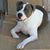 Tim McTigue's profile image