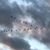 Sue Nelson's profile image