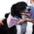 Linda Ratzlaff's profile image