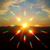 Tammy Eves's profile image