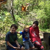 Diane Ritzheimer's profile image