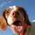 MaryAnn Domingos's profile image