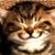 MzAllie Evens's profile image
