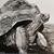 Melisa Erwin's profile image